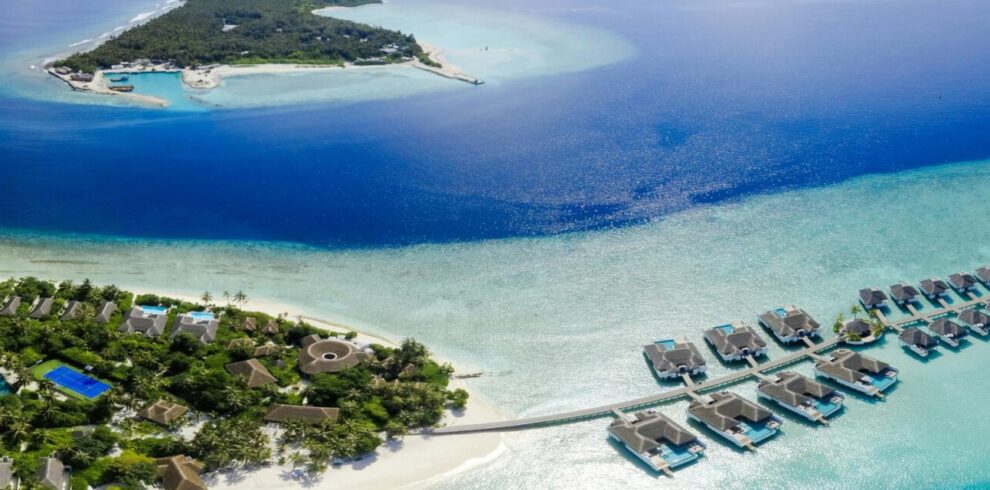 pexels-asadphoto-1483053