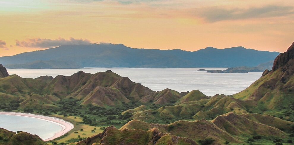 pexels-bayusamudro-16281383