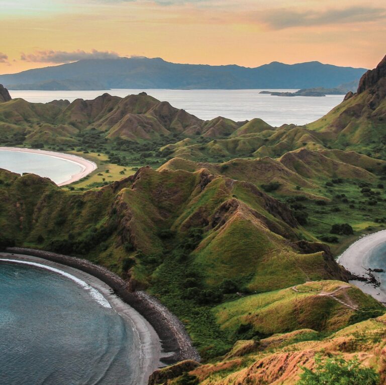 pexels-bayusamudro-16281383