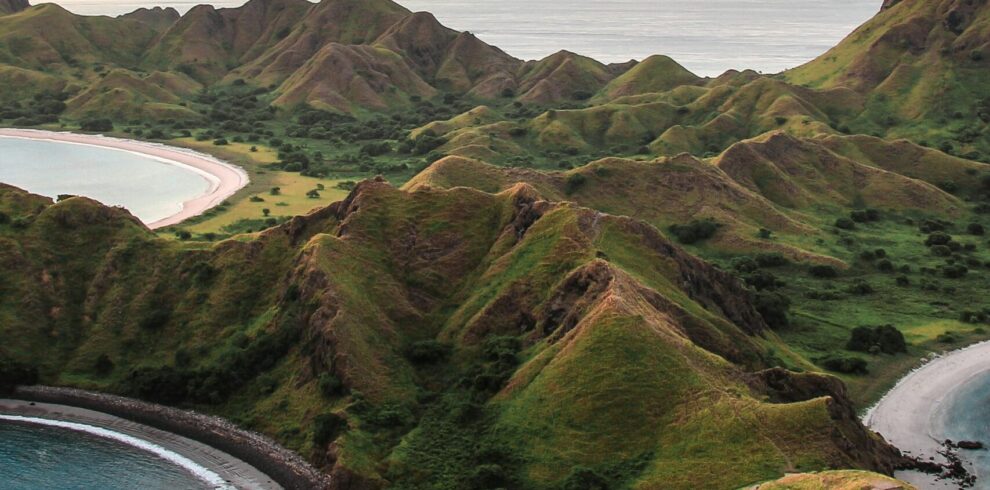 pexels-bayusamudro-16281383