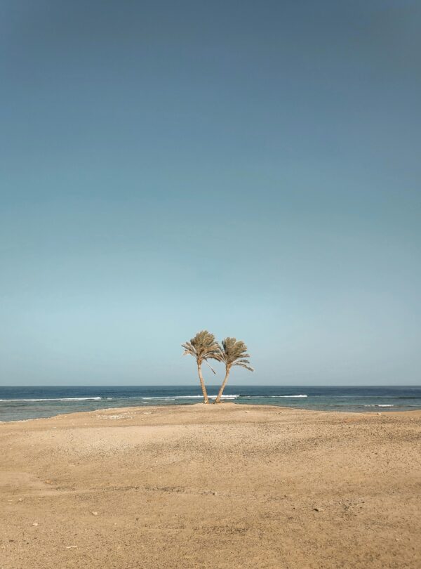 saudi arabia