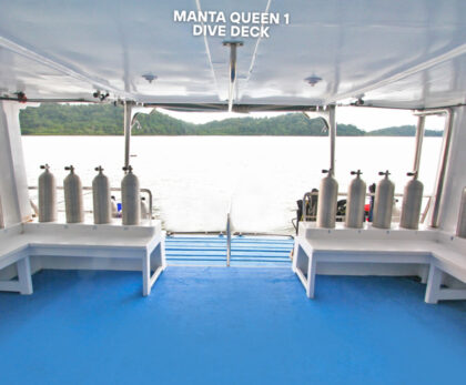 manta-queen-1-dive-deck
