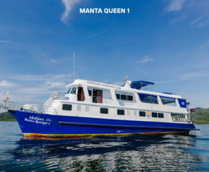 manta-queen-1-liveboard
