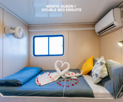 manta-queen-1-twin-bunk-bed-cabin